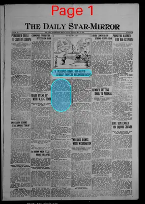 Page thumbnail for The Daily Star Mirror