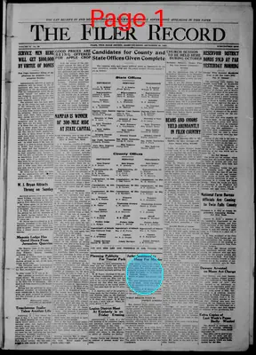 Page thumbnail for The Filer Record