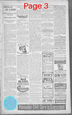 Page thumbnail for The Camden Chronicle