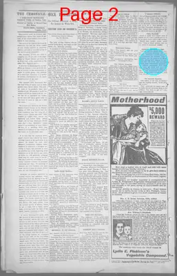 Page thumbnail for The Camden Chronicle