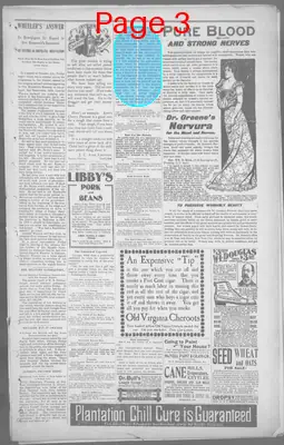 Page thumbnail for The Camden Chronicle
