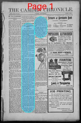 Page thumbnail for The Camden Chronicle