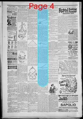 Page thumbnail for Savannah Courier