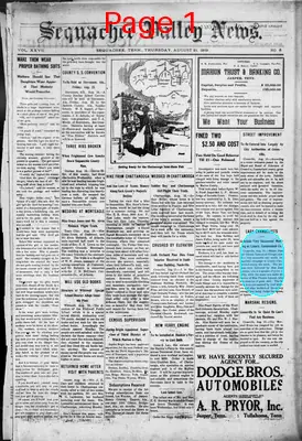 Page thumbnail for Sequachee Valley News