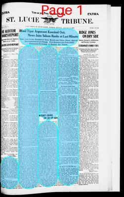 Page thumbnail for The St. Lucie County Tribune