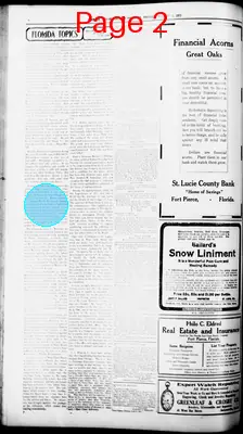 Page thumbnail for The St. Lucie County Tribune