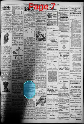 Page thumbnail for The Citizen