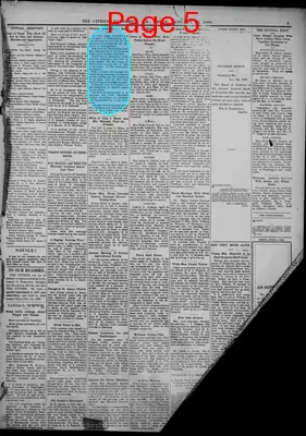 Page thumbnail for The Citizen