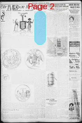 Page thumbnail for The Citizen