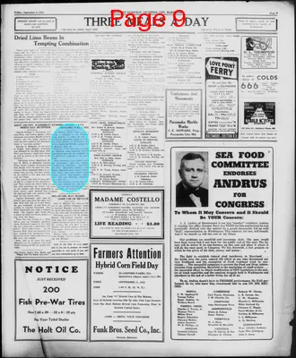 Page thumbnail for Worcester Democrat And The Ledger Enterprise