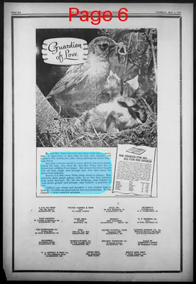 Page thumbnail for The Globe Independent
