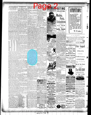Page thumbnail for The Sauk Centre Herald