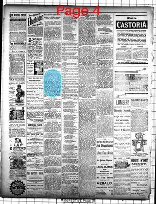Page thumbnail for The Sauk Centre Herald