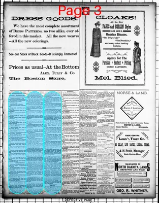 Page thumbnail for The Sauk Centre Herald