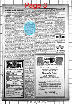 Page thumbnail for The Sauk Centre Herald