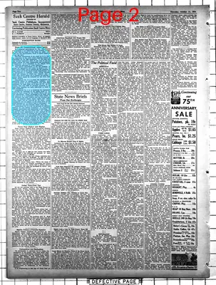 Page thumbnail for The Sauk Centre Herald