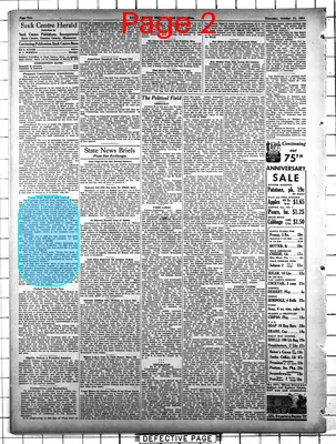 Page thumbnail for The Sauk Centre Herald