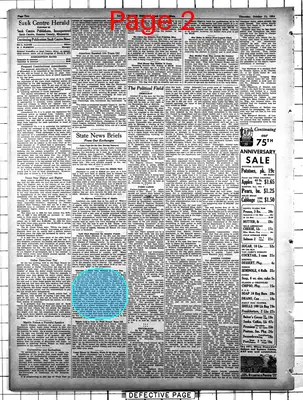 Page thumbnail for The Sauk Centre Herald