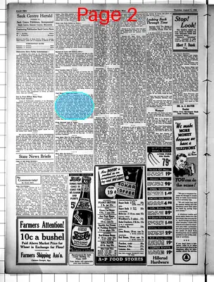 Page thumbnail for The Sauk Centre Herald