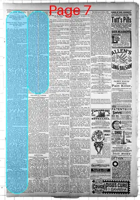 Page thumbnail for New Ulm Weekly Review