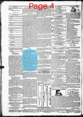 Page thumbnail for Democratic Banner