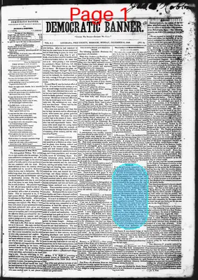 Page thumbnail for Democratic Banner