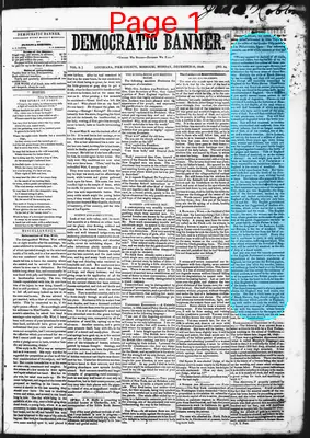 Page thumbnail for Democratic Banner