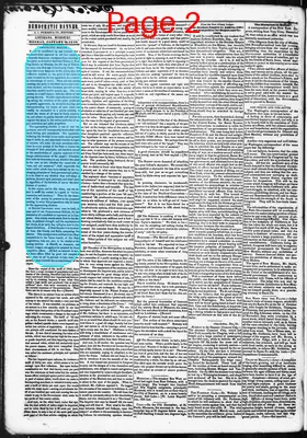 Page thumbnail for Democratic Banner