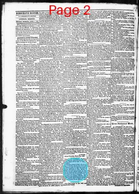 Page thumbnail for Democratic Banner
