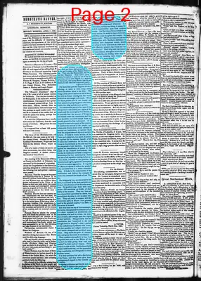 Page thumbnail for Democratic Banner