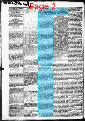 Page thumbnail for Democratic Banner