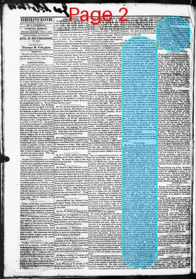 Page thumbnail for Democratic Banner