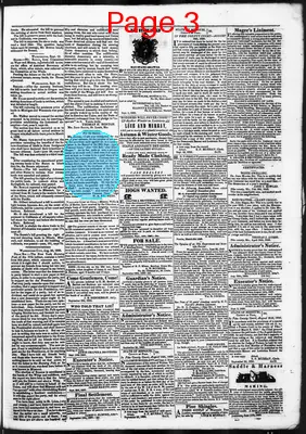Page thumbnail for Democratic Banner