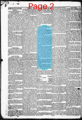 Page thumbnail for Democratic Banner