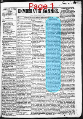 Page thumbnail for Democratic Banner