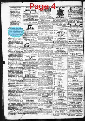 Page thumbnail for Democratic Banner