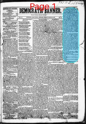 Page thumbnail for Democratic Banner