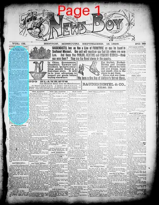 Page thumbnail for The News Boy