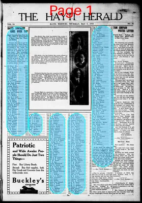 Page thumbnail for The Hayti Herald