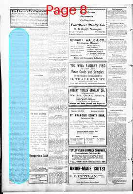 Page thumbnail for The Farmington Times