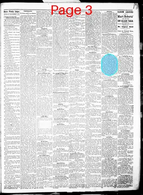 Page thumbnail for Mexico Weekly Ledger