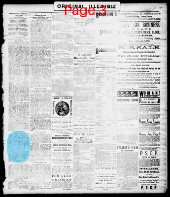 Page thumbnail for The Palatka Daily News