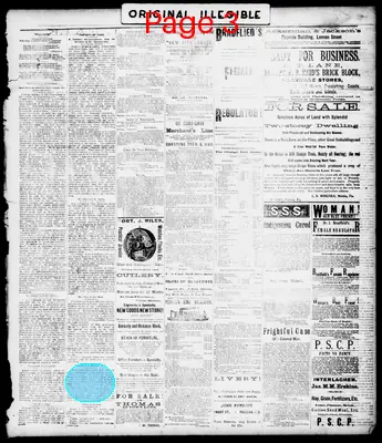 Page thumbnail for The Palatka Daily News