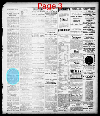 Page thumbnail for The Palatka Daily News