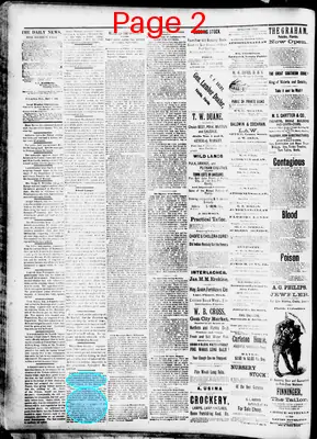 Page thumbnail for The Palatka Daily News