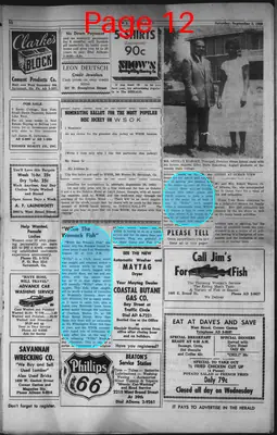 Page thumbnail for The Herald