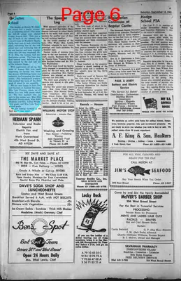 Page thumbnail for The Herald