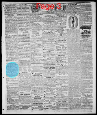 Page thumbnail for Hillsdale Whig Standard