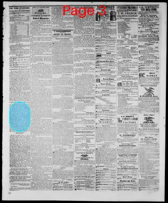 Page thumbnail for Hillsdale Whig Standard