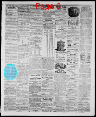 Page thumbnail for Hillsdale Whig Standard